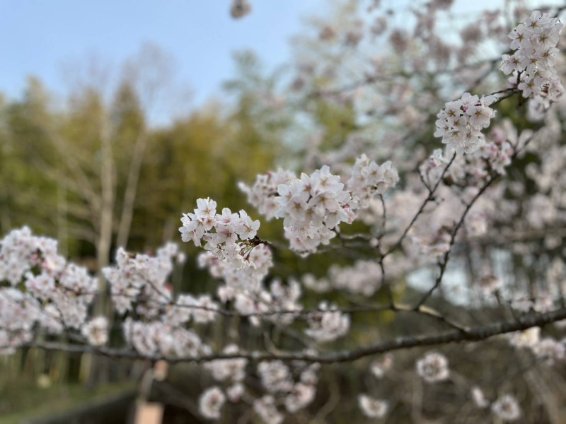 ちはるの写メ